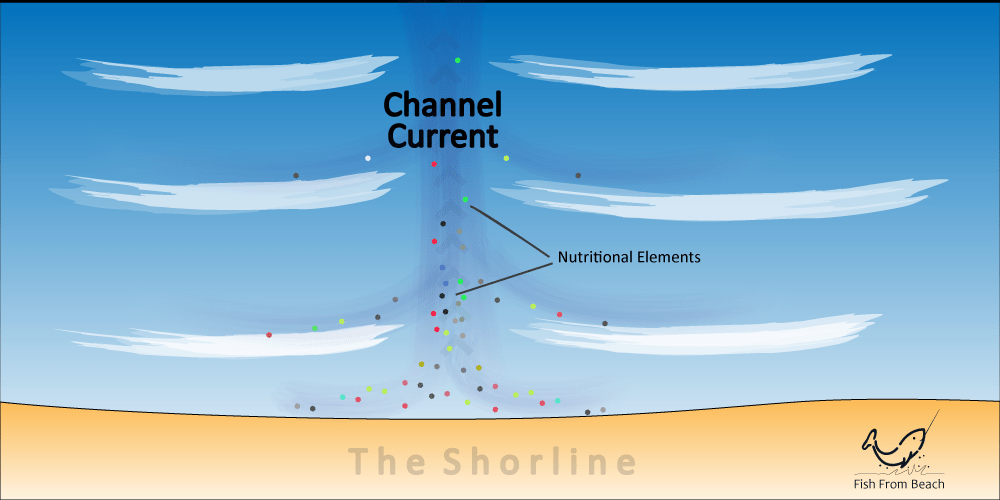 Rip current carrying food to the open sea