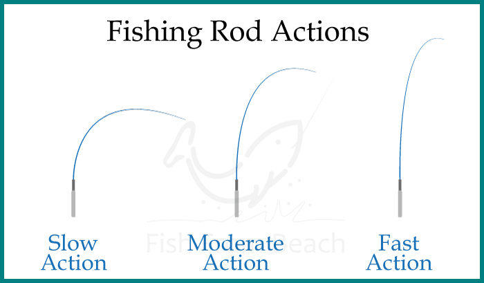Different Rod Actions
