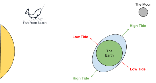 Wildwood Tide Chart