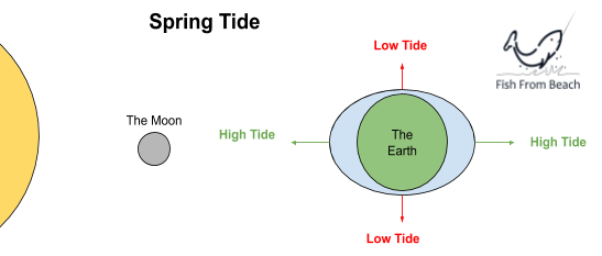 spring tide explanation