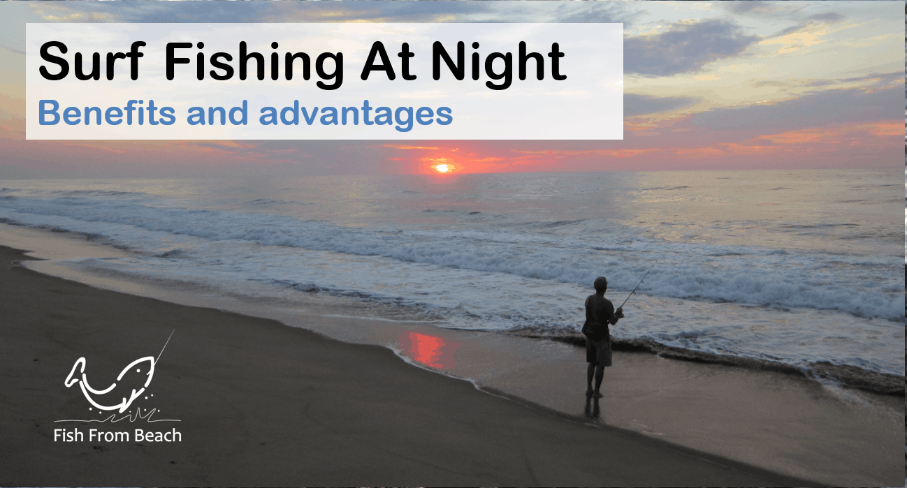 surf fishing at night