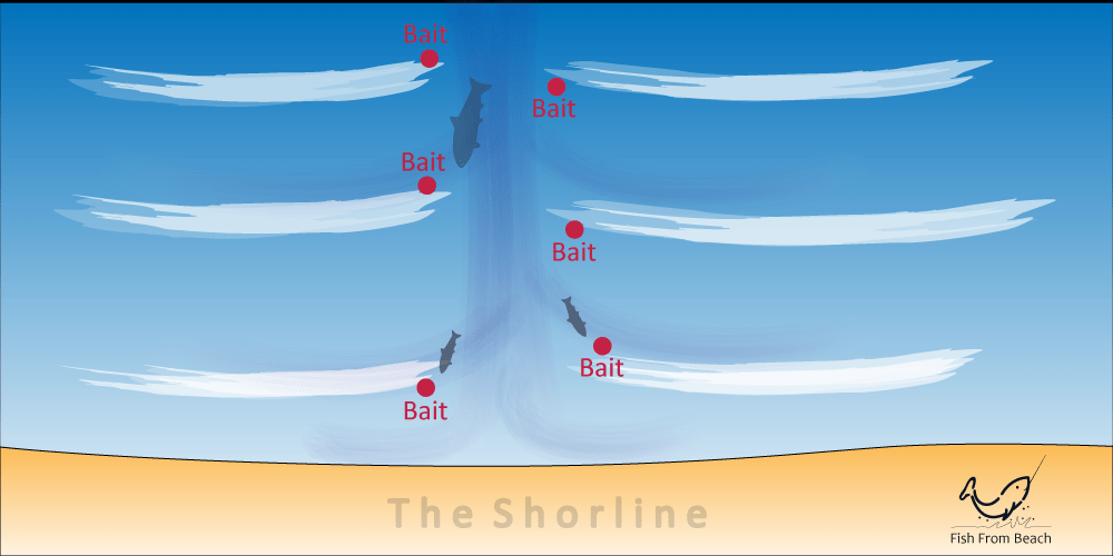 where to deploy the bait when surf fishing