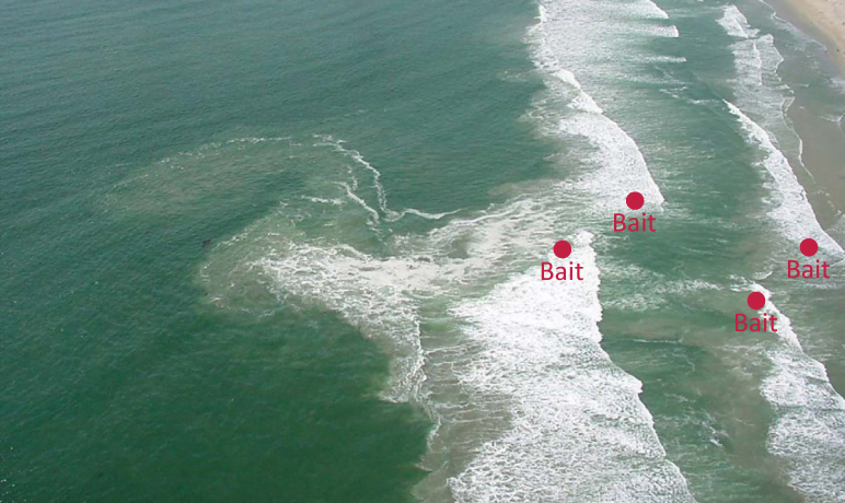 Where to cast the line when surf fishing