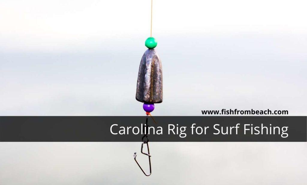 How to use the Carolina Rig for Surf Fishing ? Fish From