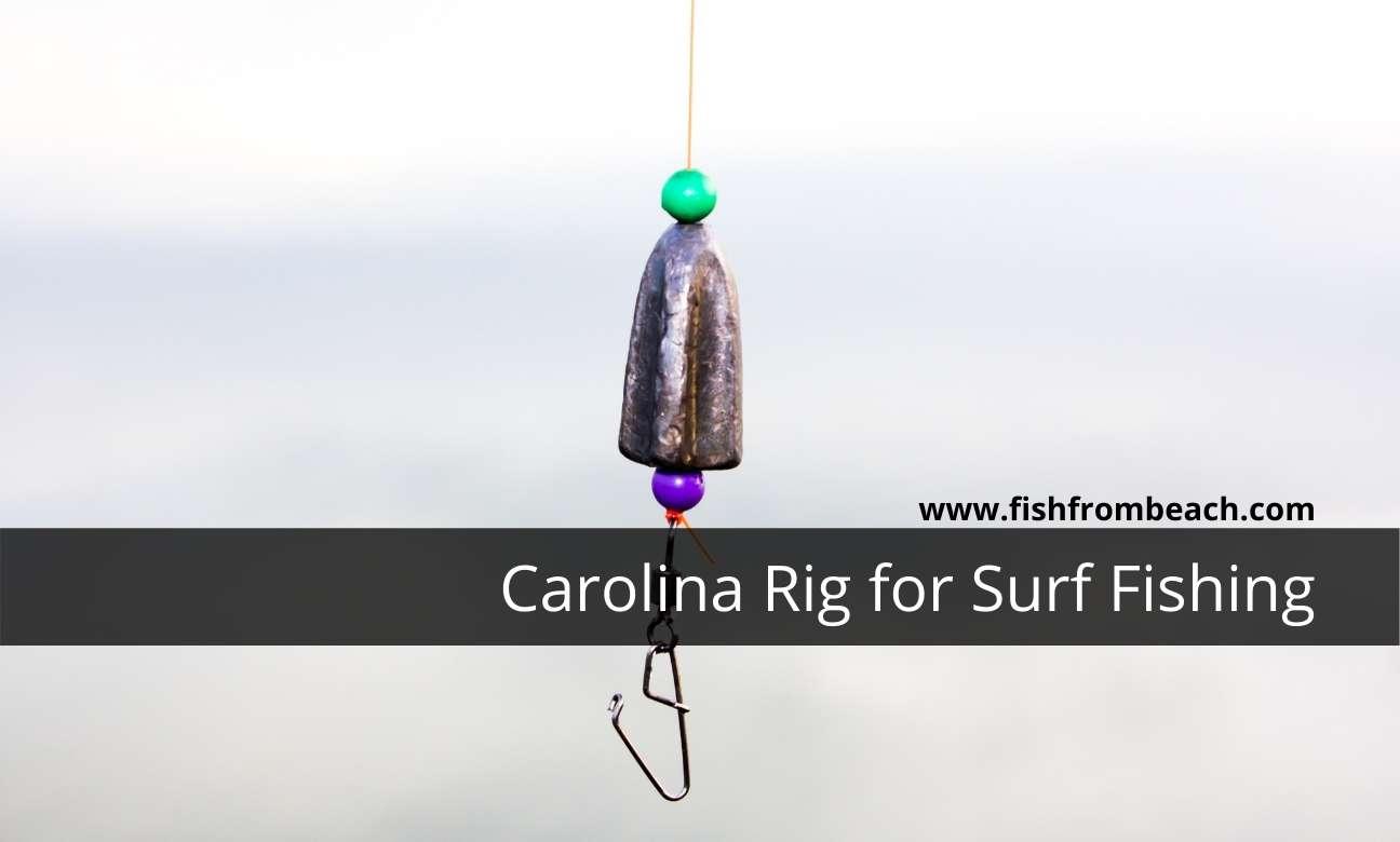 how to tie the carolina rig for surf fishing