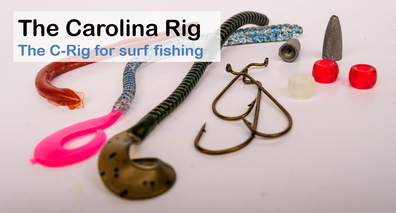 How to use the Carolina Rig for Surf Fishing ? Fish From