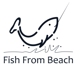 Fish From Beach – The Surf Fishing Blog