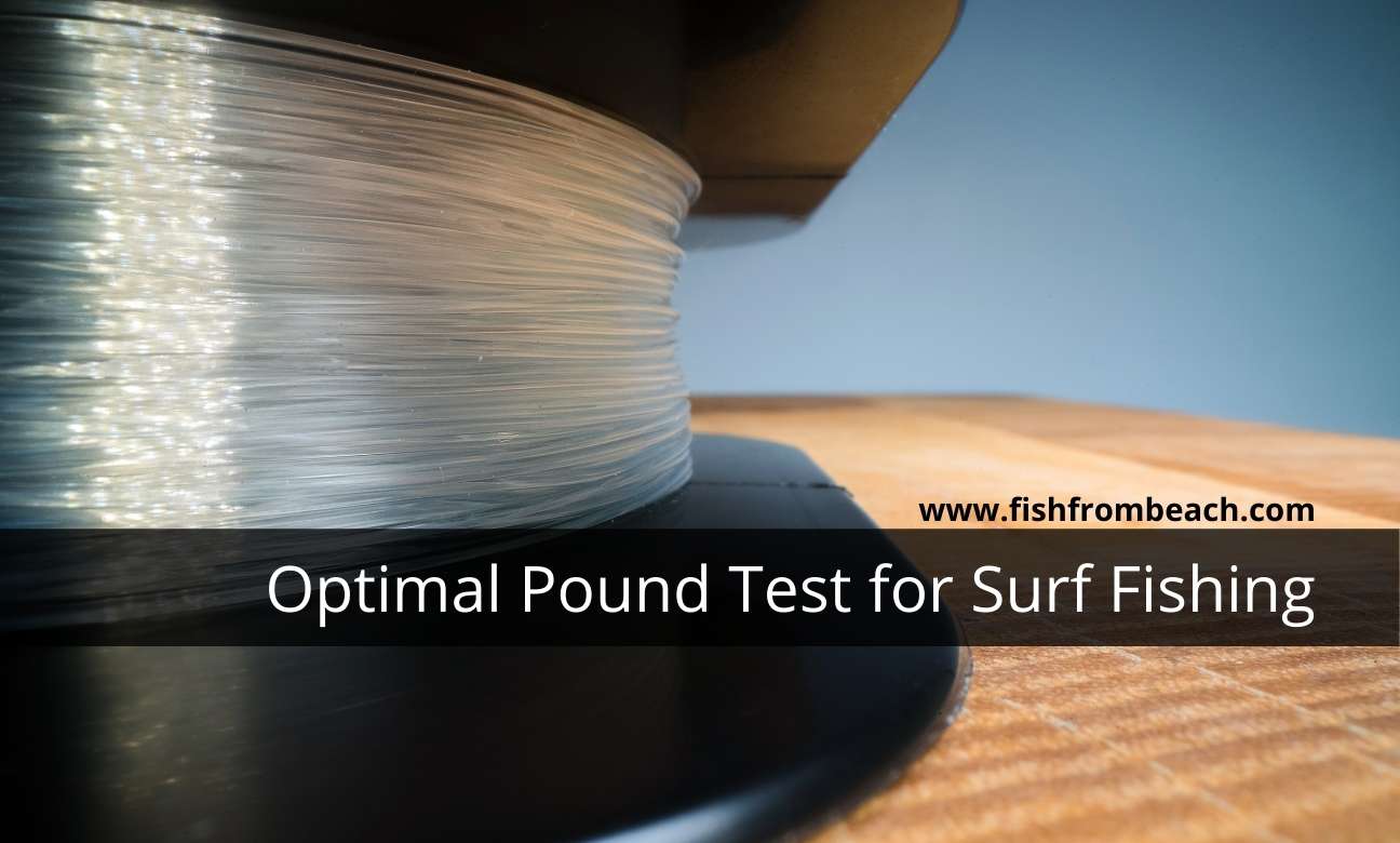 Pound test for surf fishing