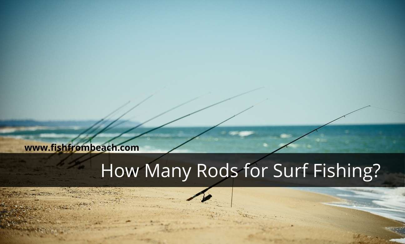 How many rods for surf fishing ?