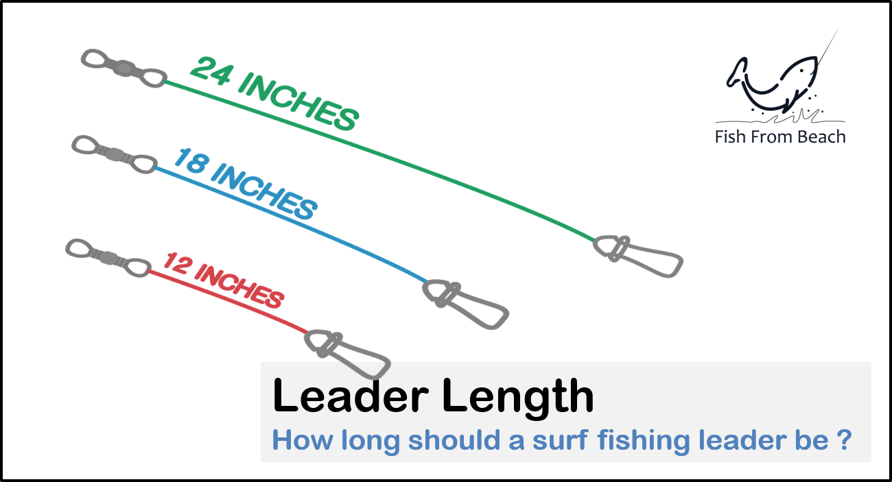 How Long should a Surf Fishing Leader be ? Fish From Beach