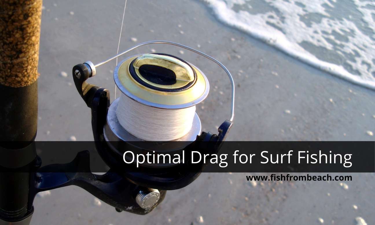 How to set drag for surf fishing ?