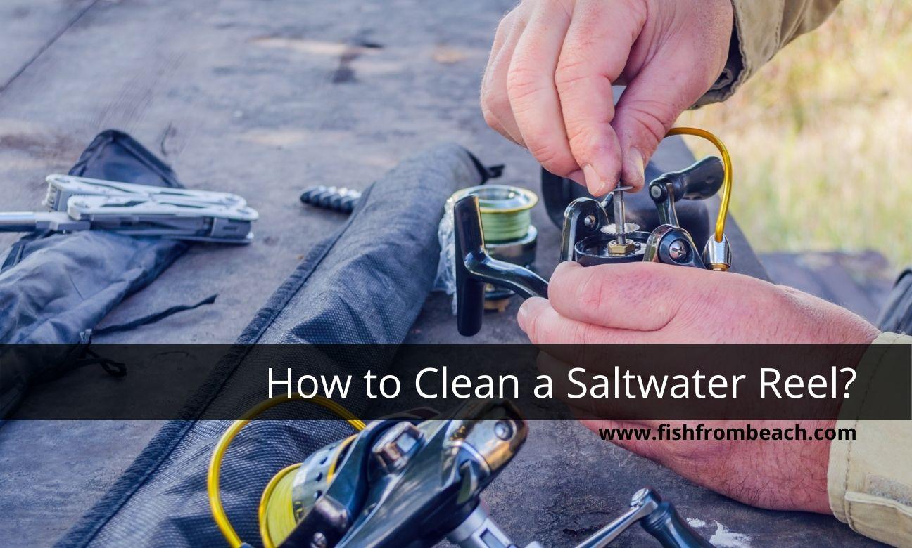 How to clean your reel after saltwater fishing ?