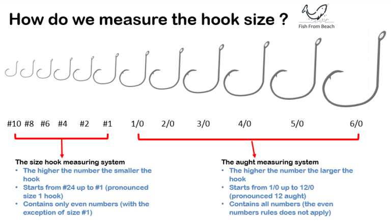 What Hook Size for Surf Fishing? – Fish From Beach