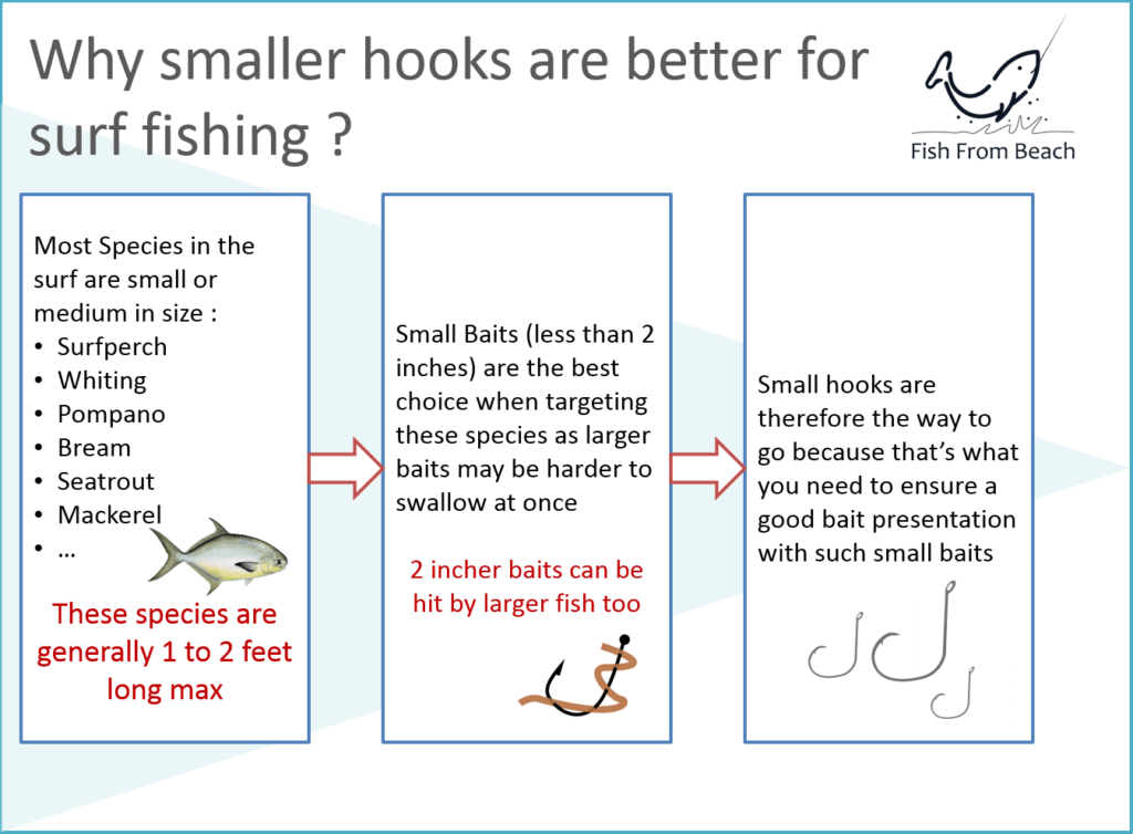 What Hook Size for Surf Fishing? Fish From Beach
