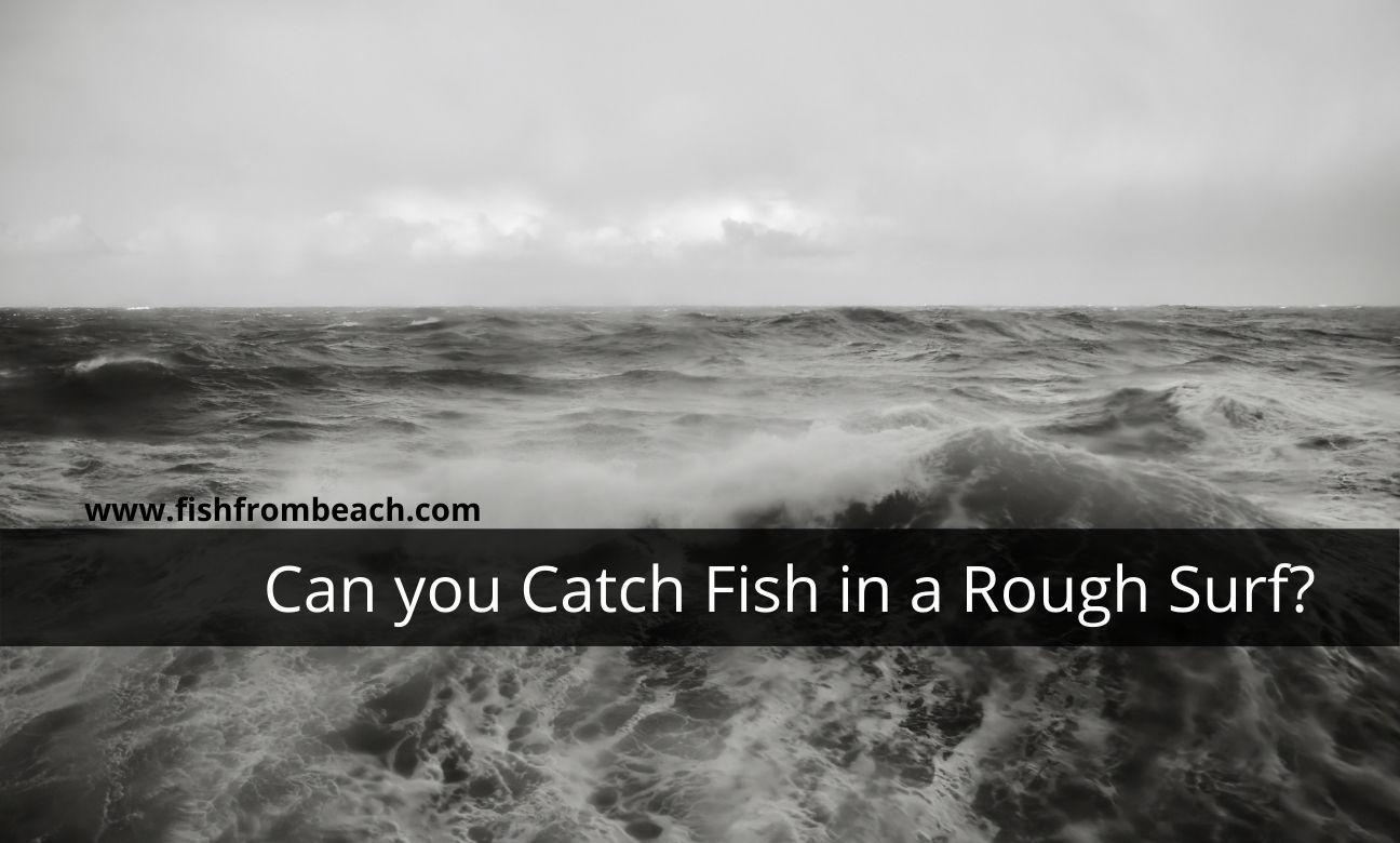 can you catch fish in a rough surf ?