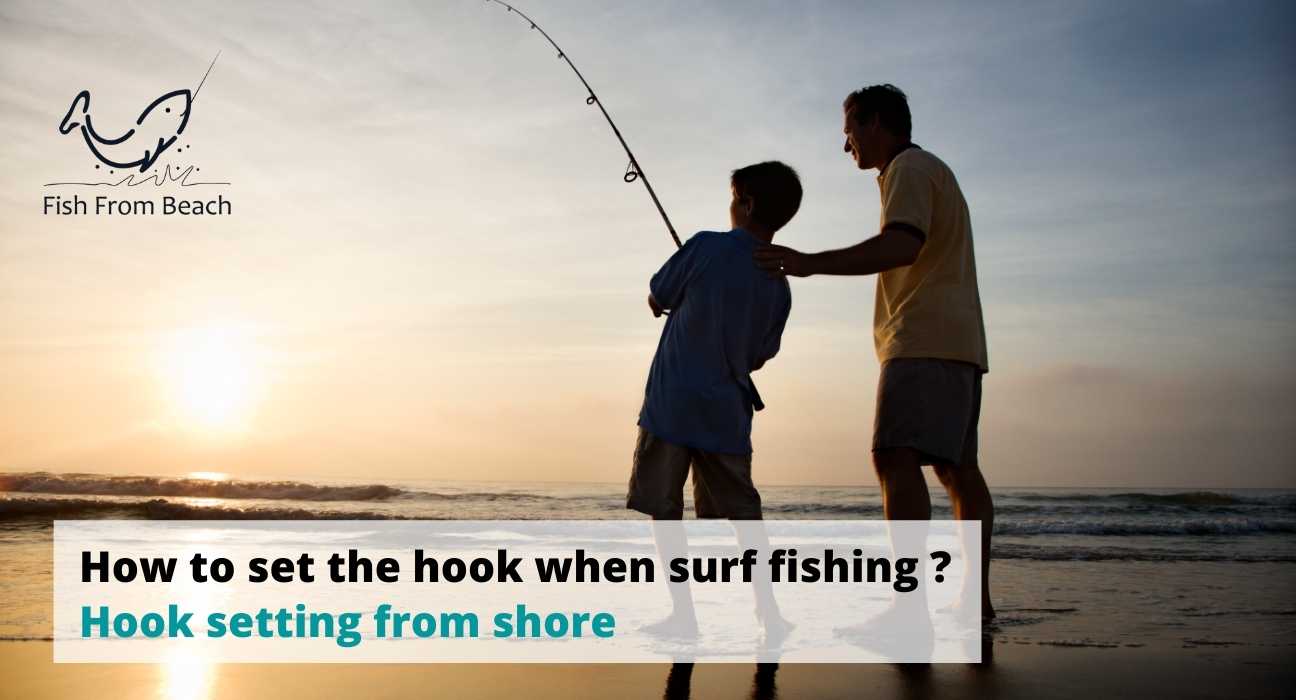 Setting the Hook when Surf Fishing. How and When ? Fish From Beach