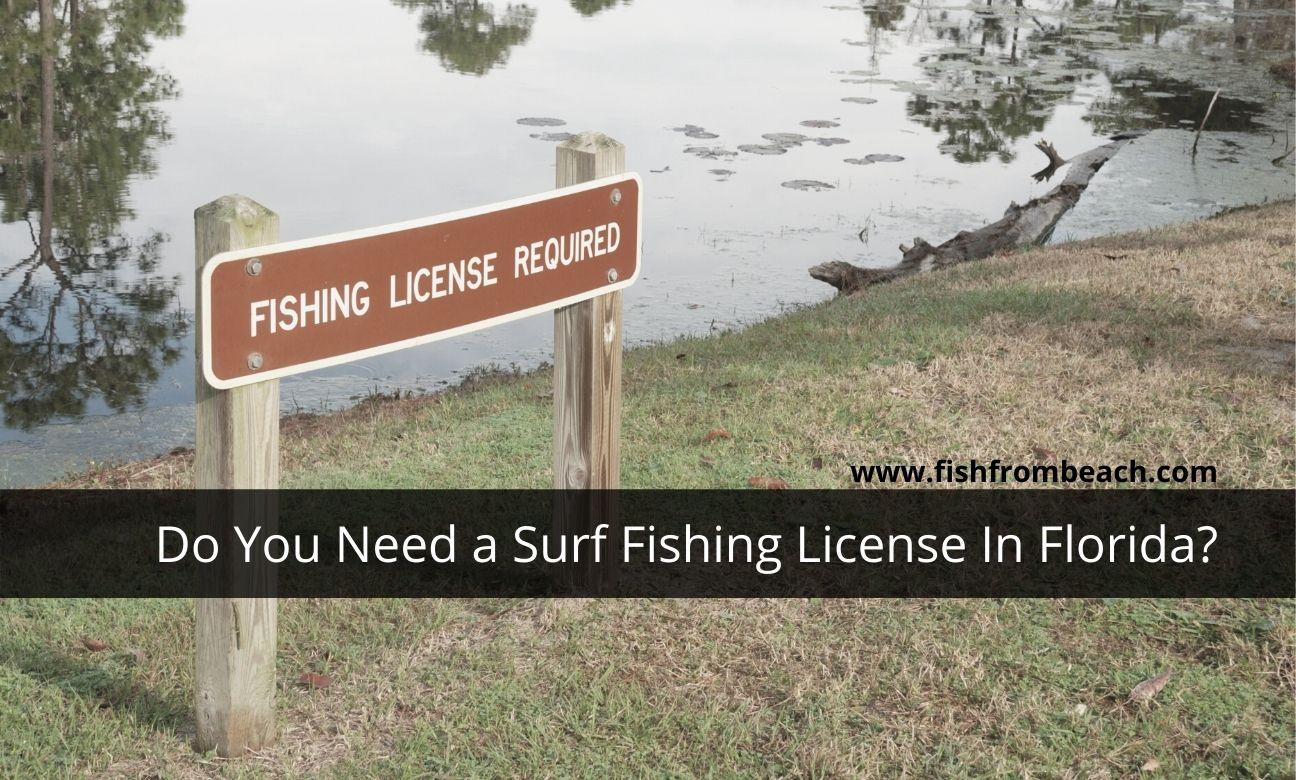 Florida Non Resident Military Fishing License - Unique Fish Photo