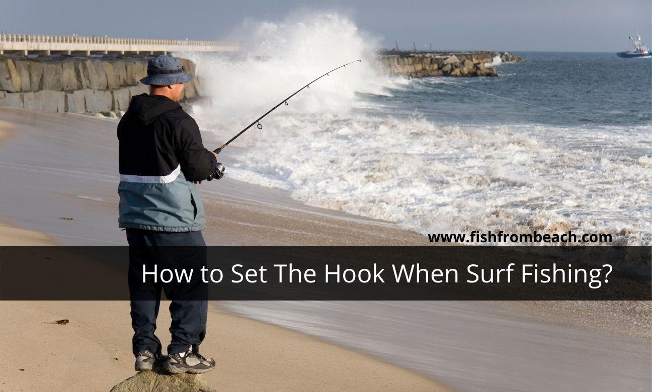 How to set the hook when surf fishing