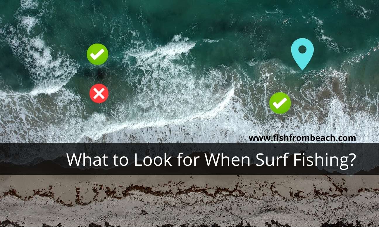 what to look for when surf fishing