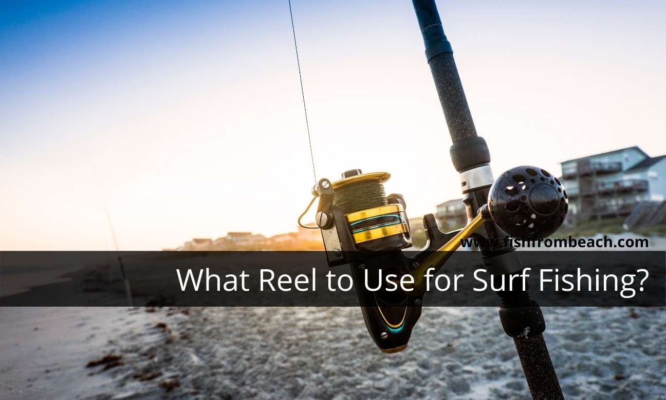 Best reel for surf fishing