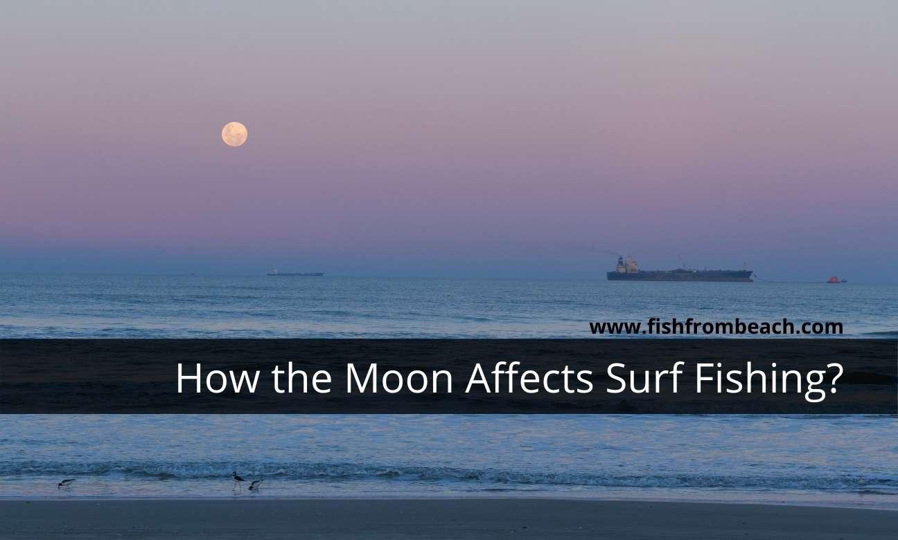 Do moon phases affect surf fishing?