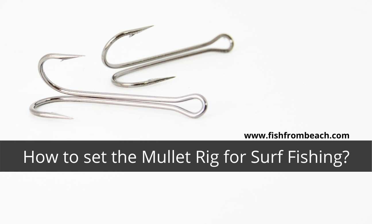 how to set the mullet rig for surf fishing?