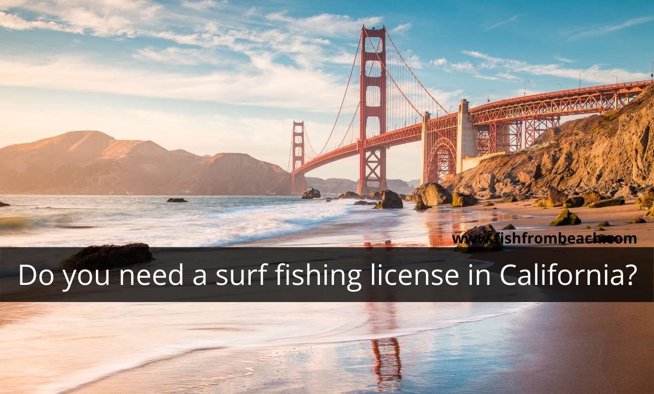 Do I need a surf fishing license in California? – Fish From Beach