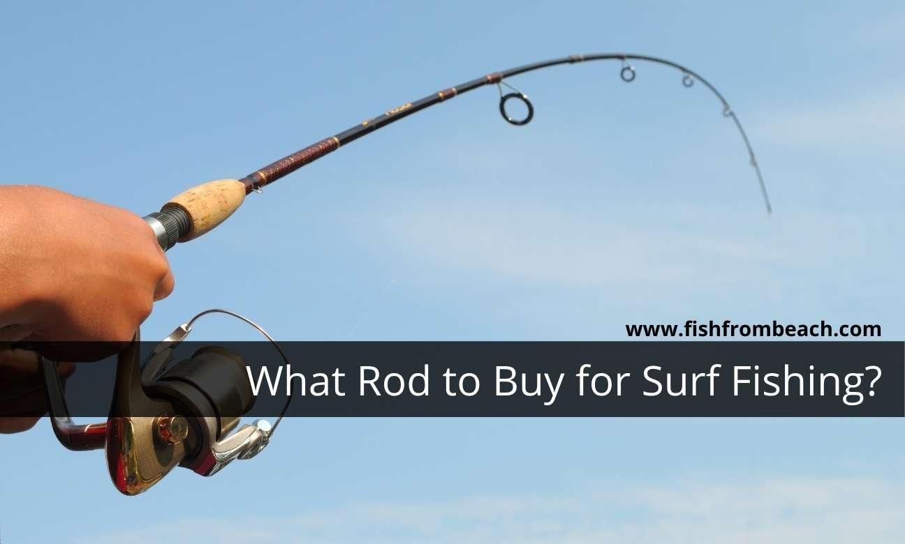 what's the best rod for surf fishing?