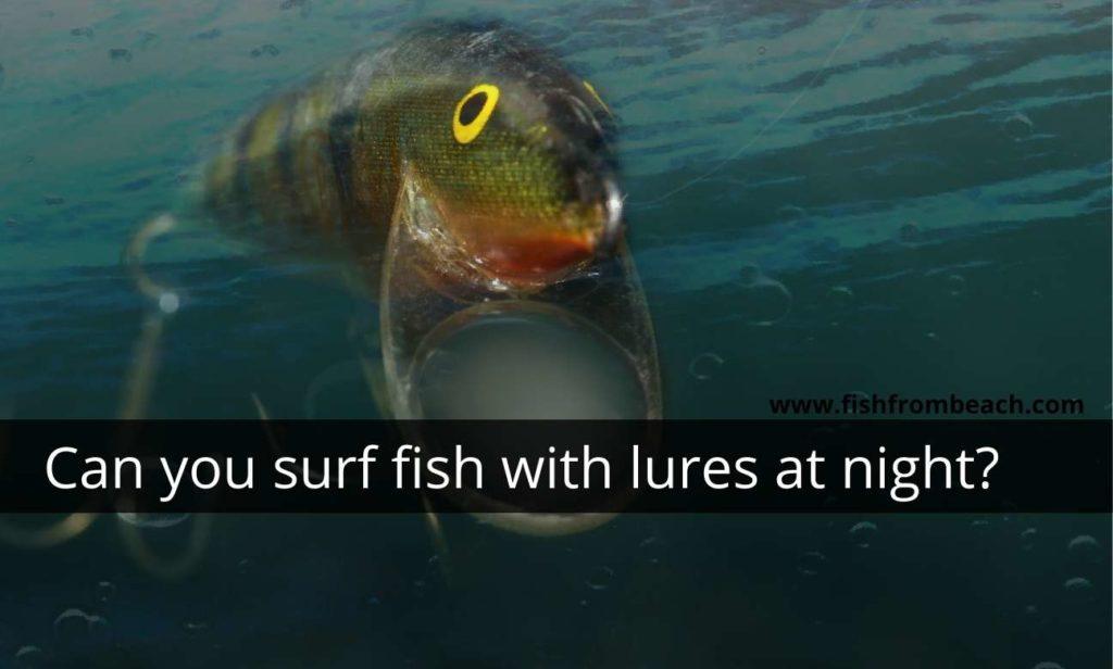 Surf Fishing with Lures at Night. Can it be Productive? Fish From Beach