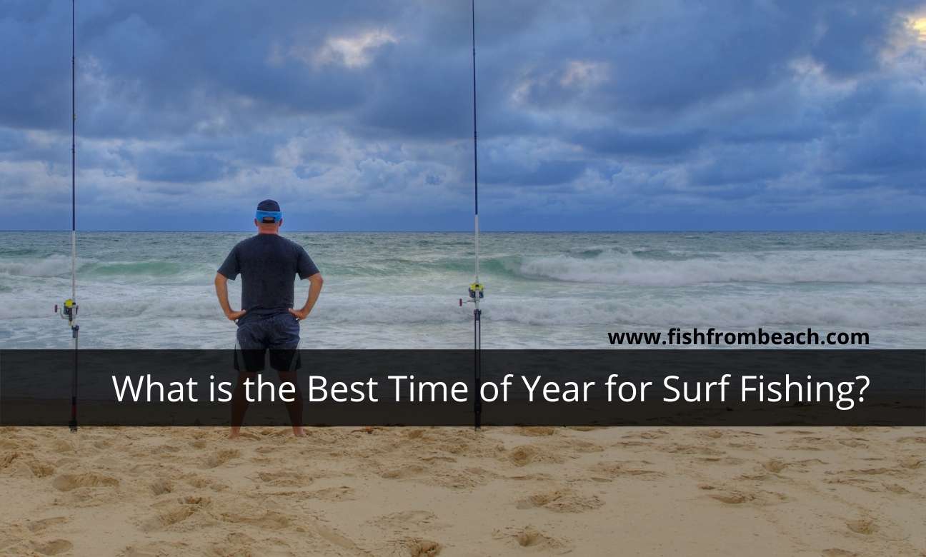 best season for surf fishing