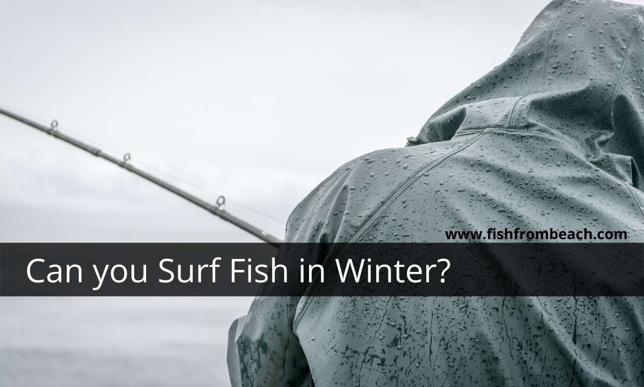 can you surf fish in winter