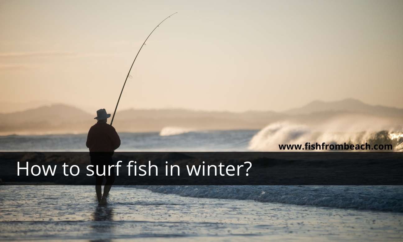 surf fishing in winter