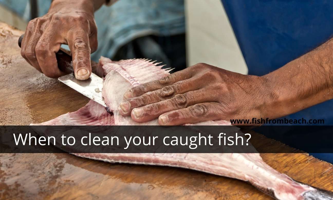 The best time to clean fish after you catch it