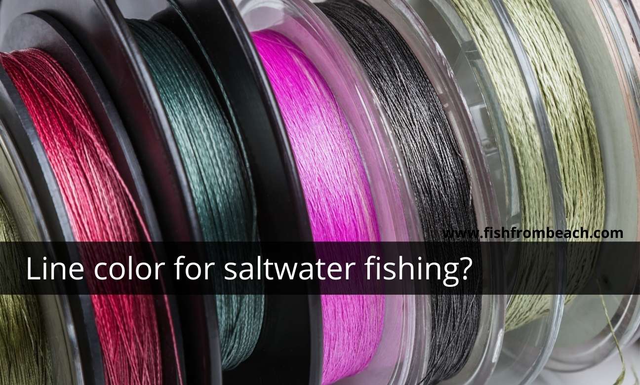 line color for saltwater fishing