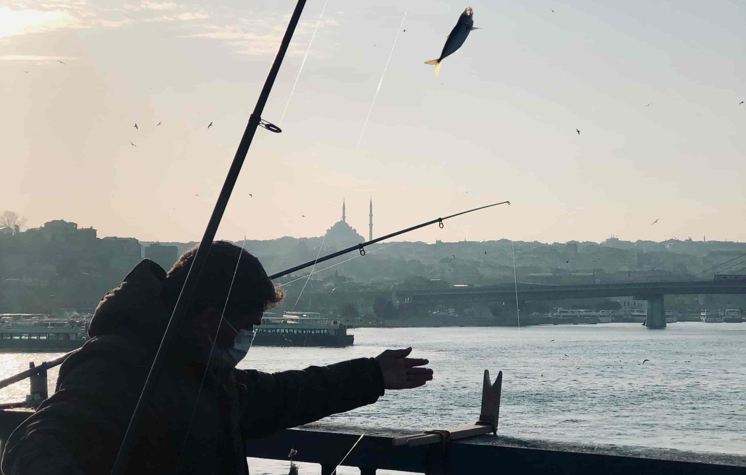 what-are-the-best-baits-for-pier-fishing-fish-from-beach