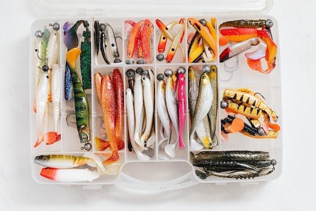 Best lure color for saltwater fishing