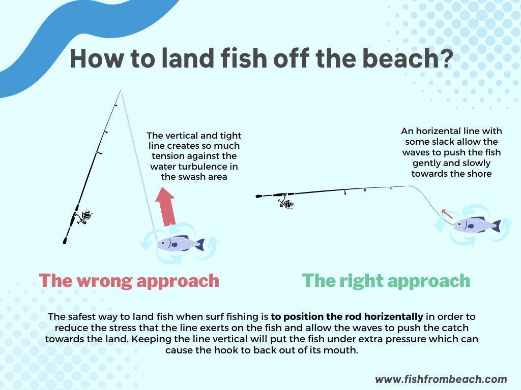 The proper way of landing fish