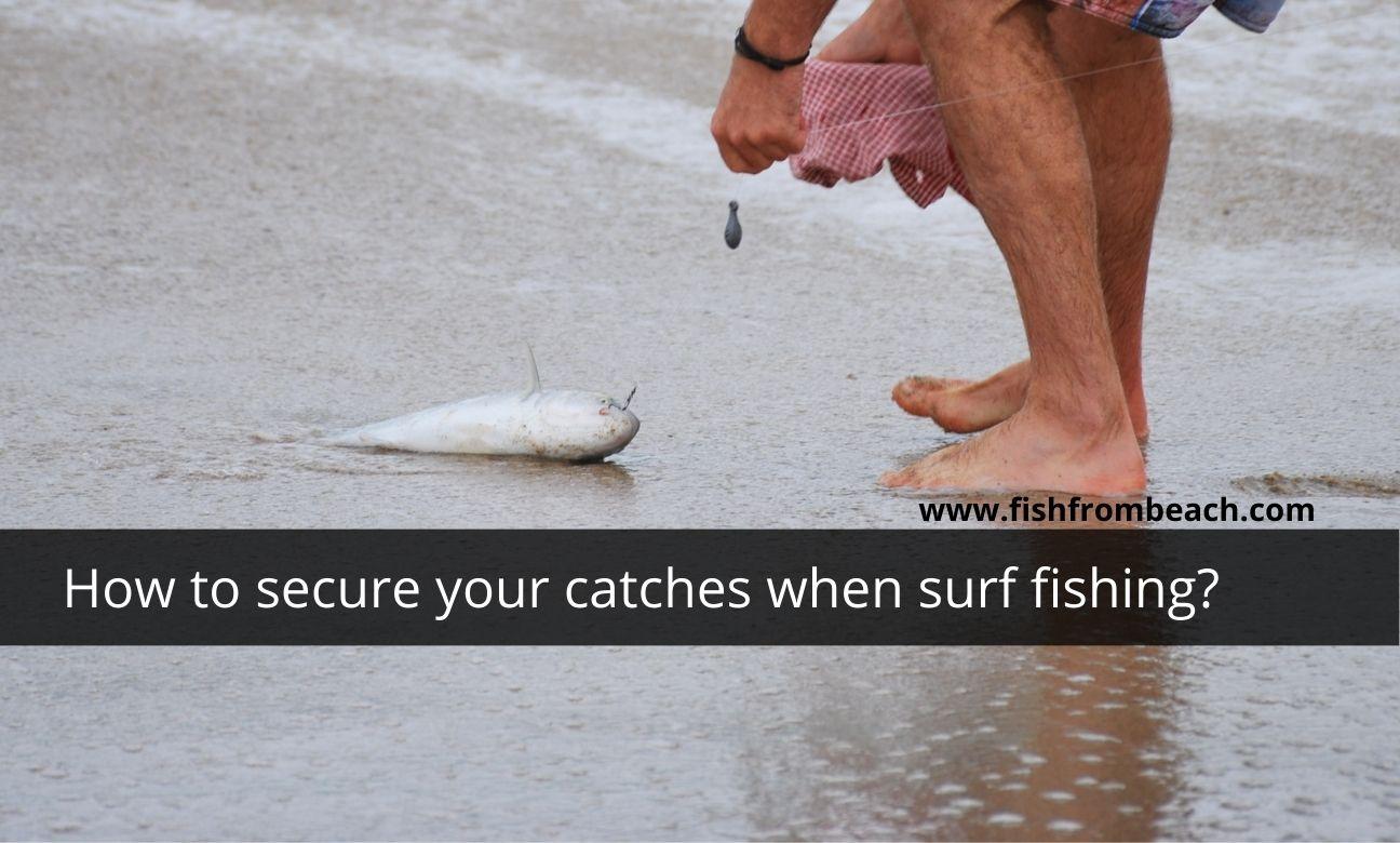 landing fish off the beach