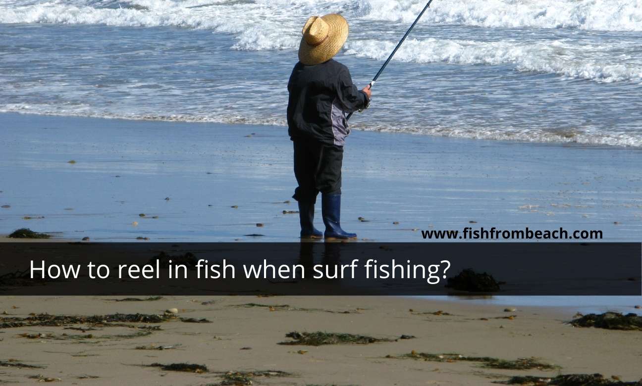 How to reel in beach fish