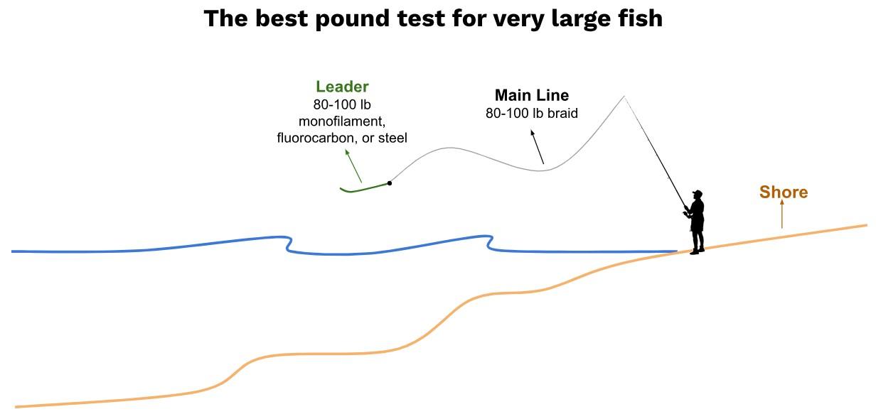 Line size for surf fishing sharks and very large fish