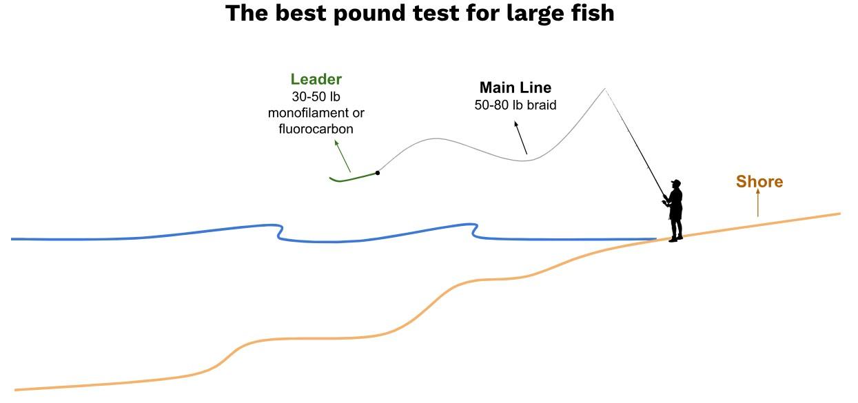 Line size for surf fishing redfish and large fish