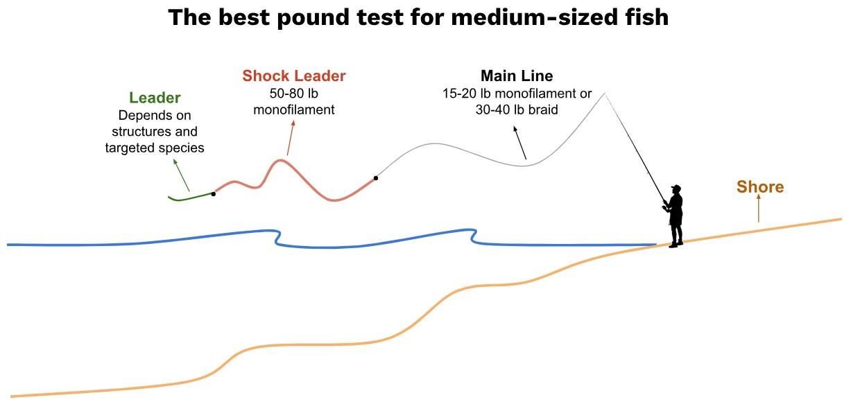 Line weight when beach fishing for medium sized fish