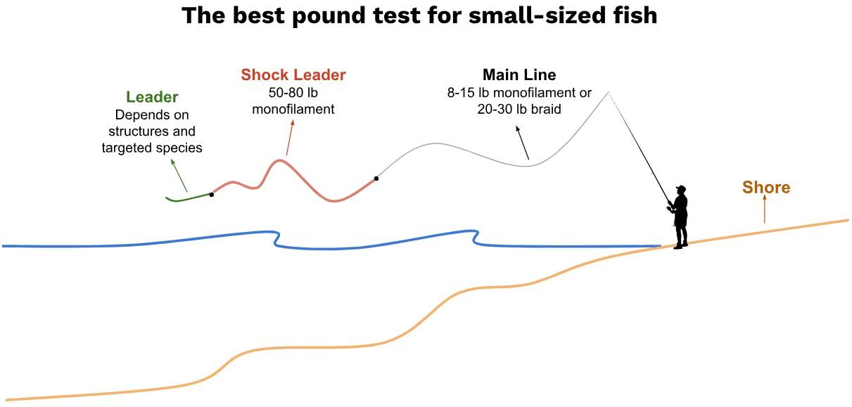 Line size when surf fishing for small sized fish