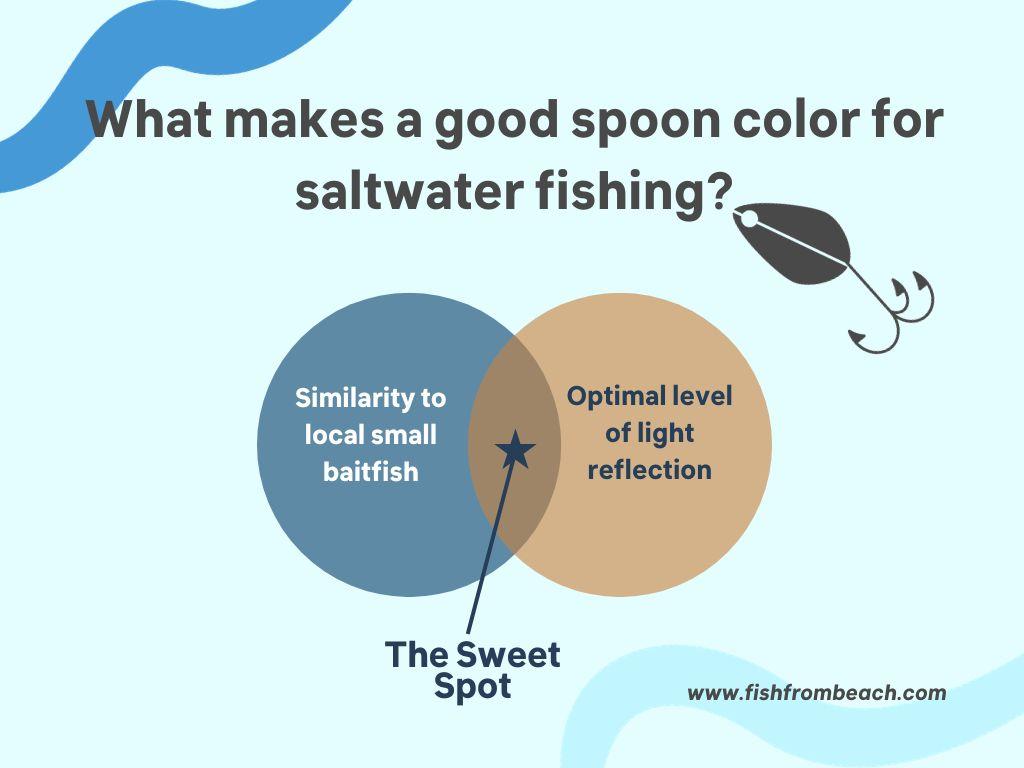 what makes a good spoon color for saltwater fishing?