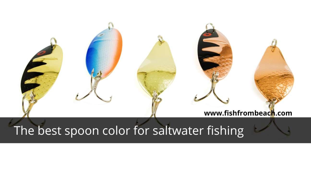 What color spoon for saltwater fishing