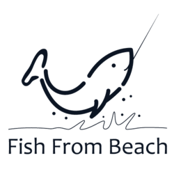 Fish From Beach