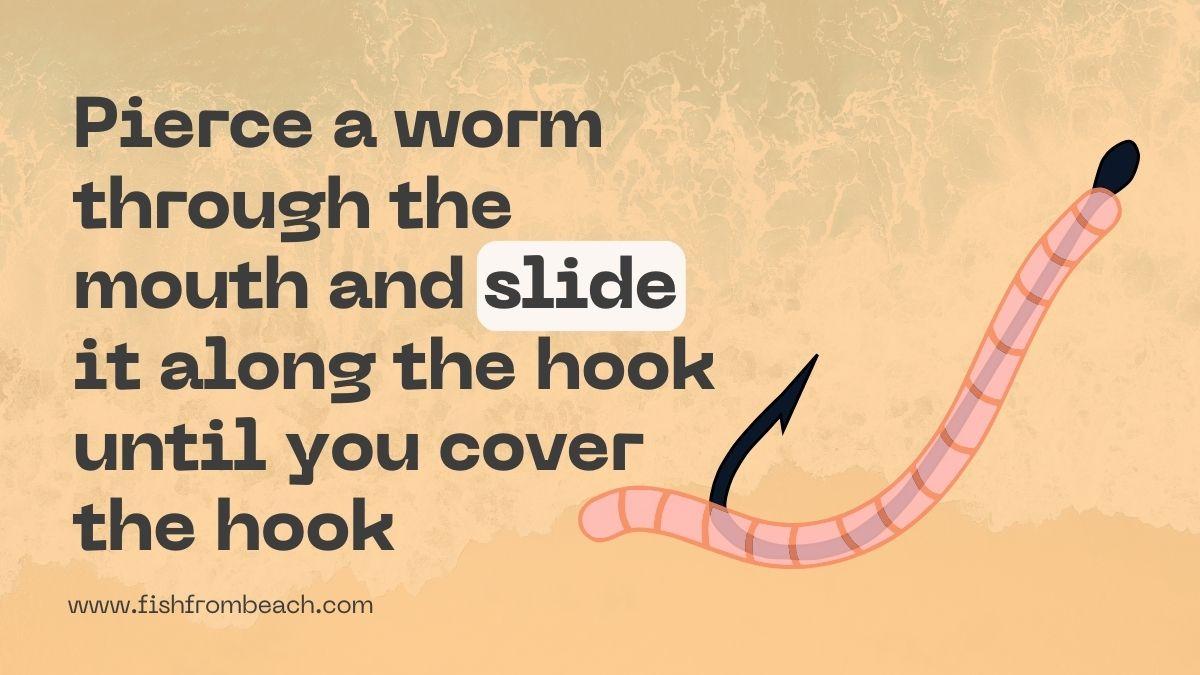 Pierce worms through the mouth and then slide them along the hook until you cover it